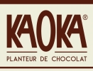 logo kaoka 1024x638