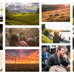 Photo home page MOSAIQUE moins de pixels