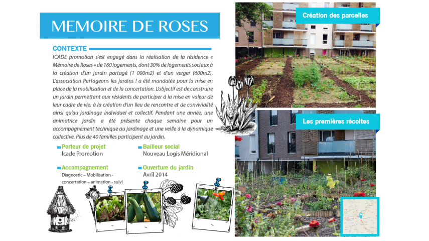 saules 02