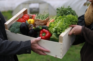 Credits photos Les potagers du Garon