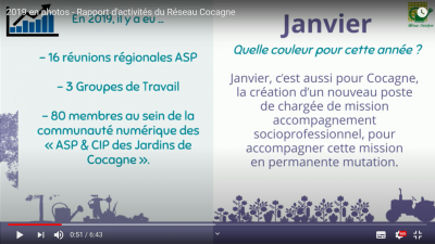 Rapport 2019 en images
